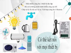 Công tắc điều khiển từ xa - 2 kênh, anten dài, gồm remote, RF2KB 12V-RM01B_2