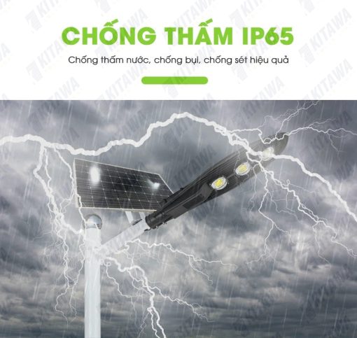 Đèn Đường Năng Lượng Mặt Trời Chiếc Lá CL1150 - Tấm Pin Mono